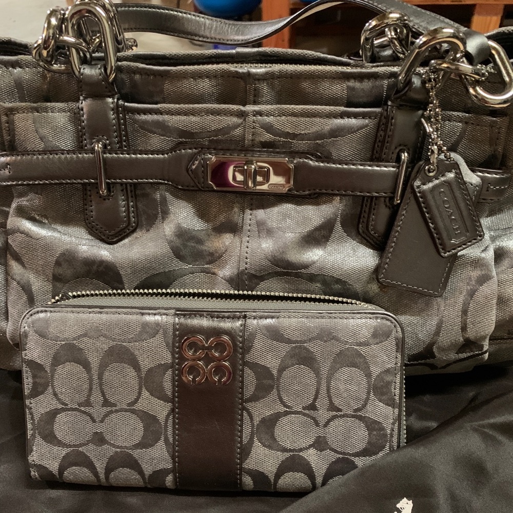Designer handbag and matching wallet